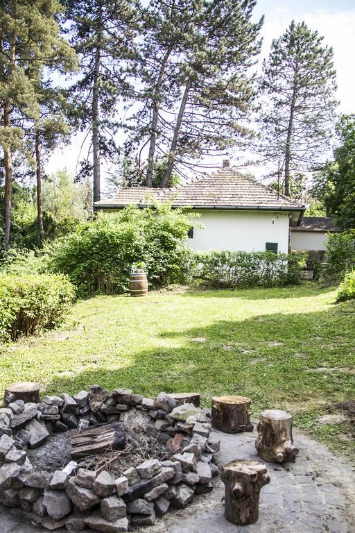Teraszház Zebegény Villa Exterior foto